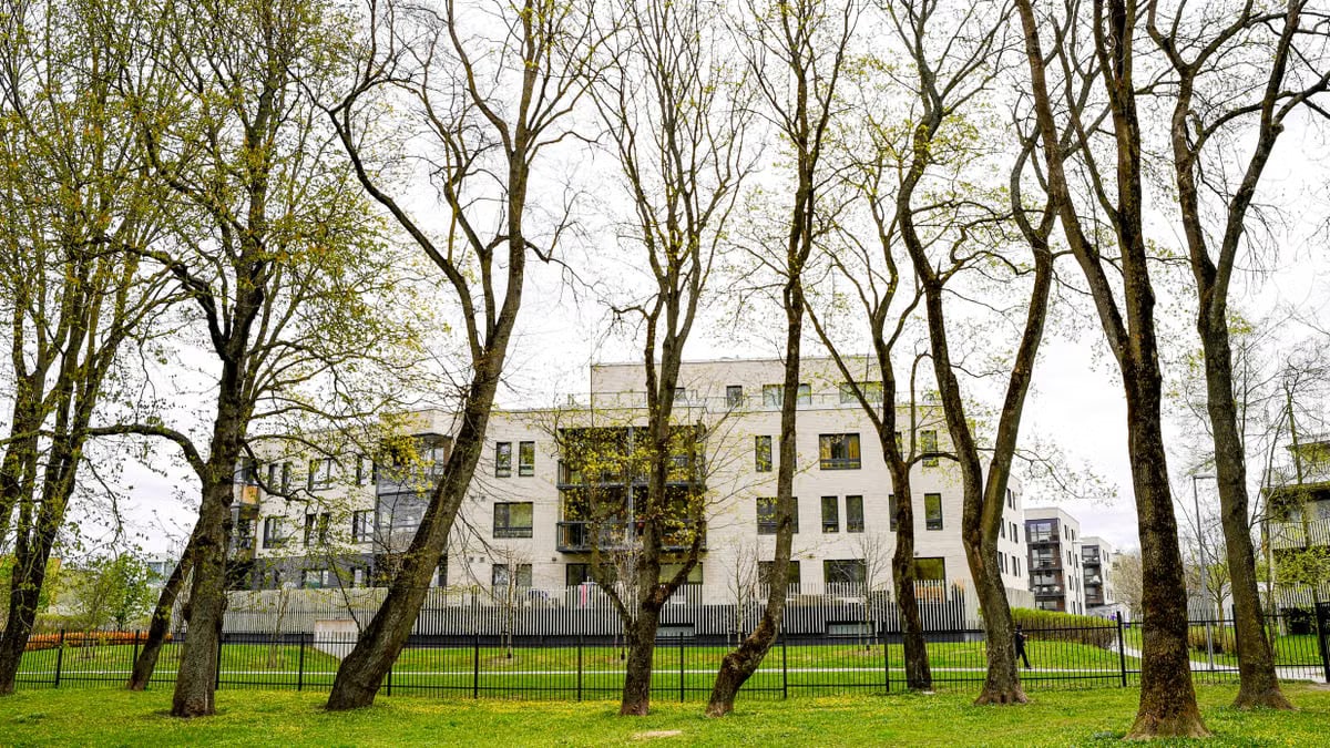 Scandinavian-style apartments amidst spring trees in Tallinn, Estonia.